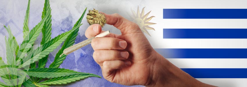 Weed-Friendly Countries: Uruguay